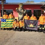 Bombeiros de Goiás reforçam combate a incêndios no Pantanal