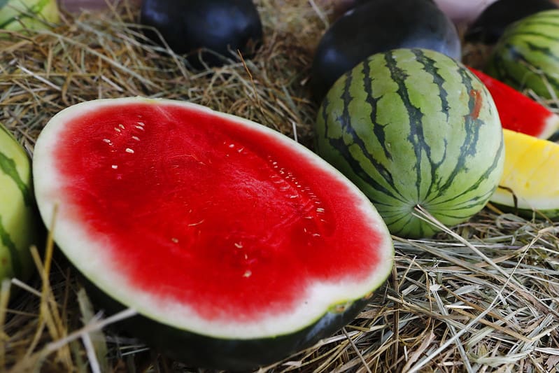 Produtores de frutos frescos interessados na exportação devem se cadastrar na Agrodefesa