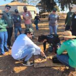 Agrodefesa aprimora defesa agropecuária em Goiás com uso de drones