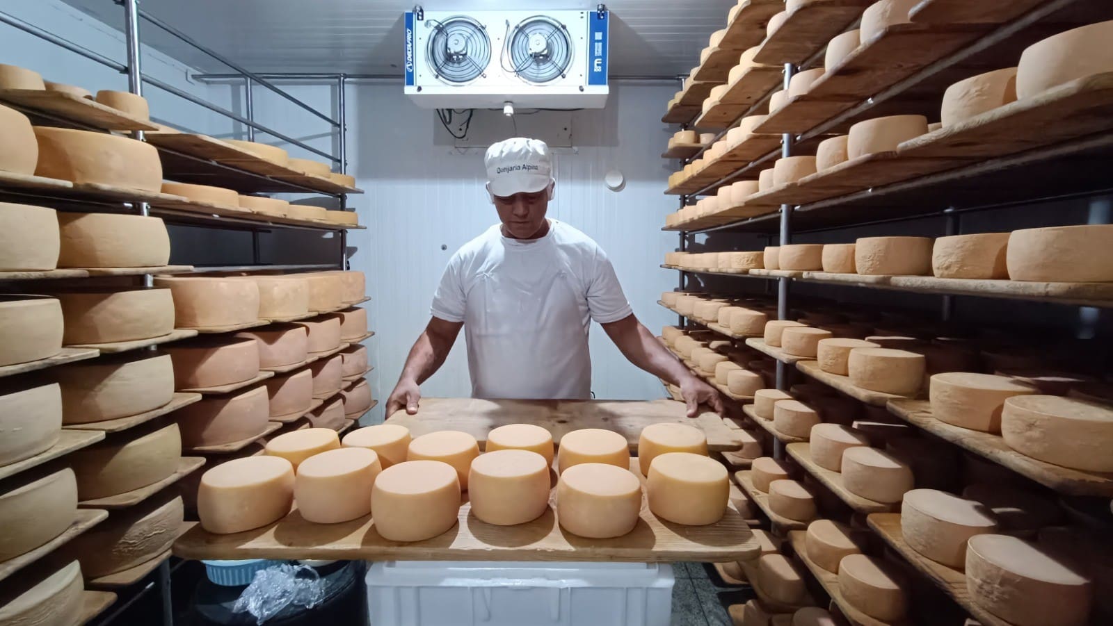 Goiás avança na produção de queijo artesanal