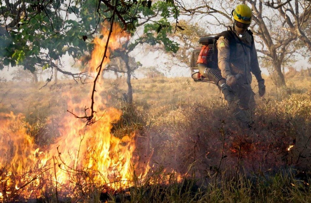 Caiado convoca reunião para discutir as queimadas em Goiás