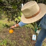 Governo lança edital para pesquisa e inovação na agricultura familiar