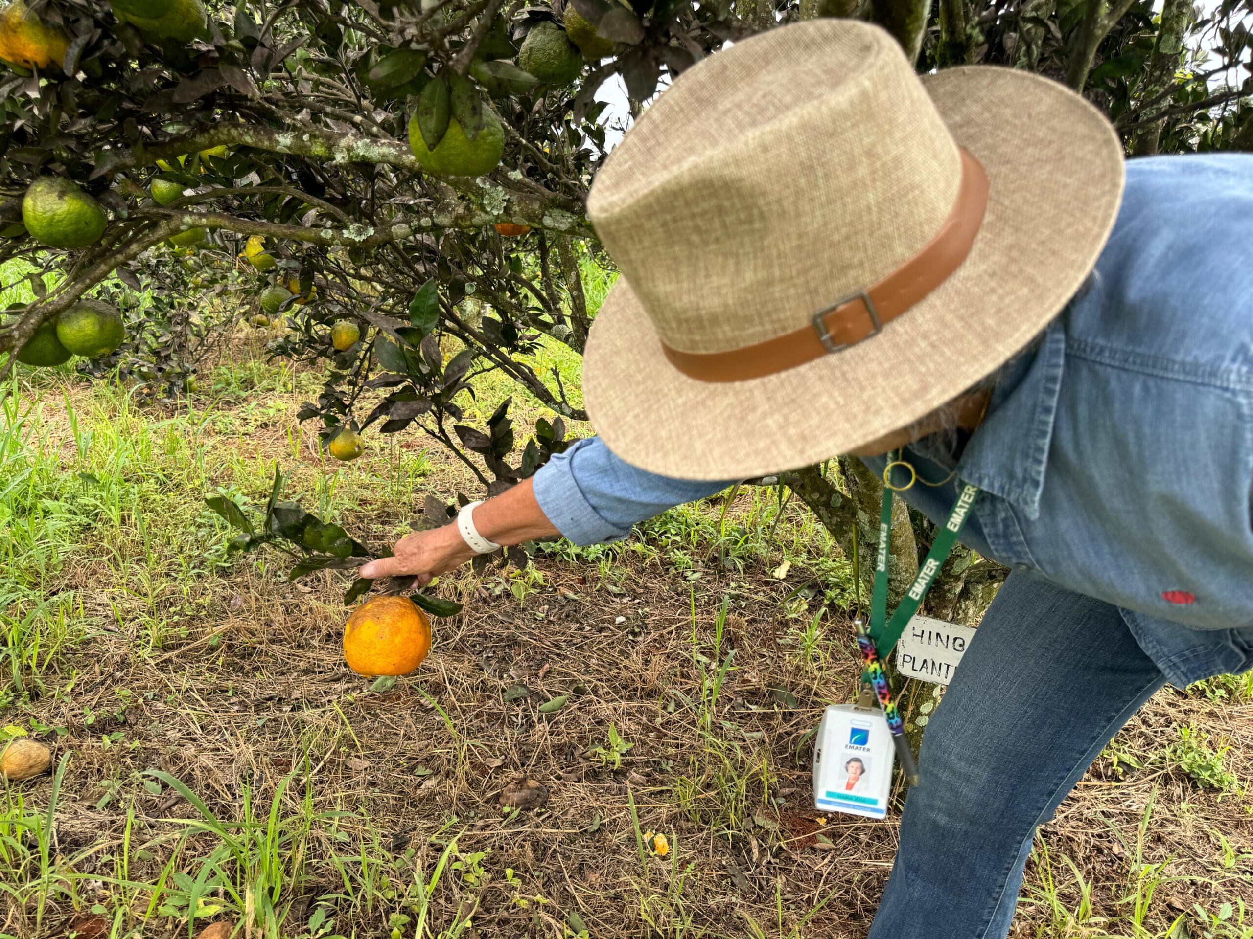 Governo lança edital para pesquisa e inovação na agricultura familiar