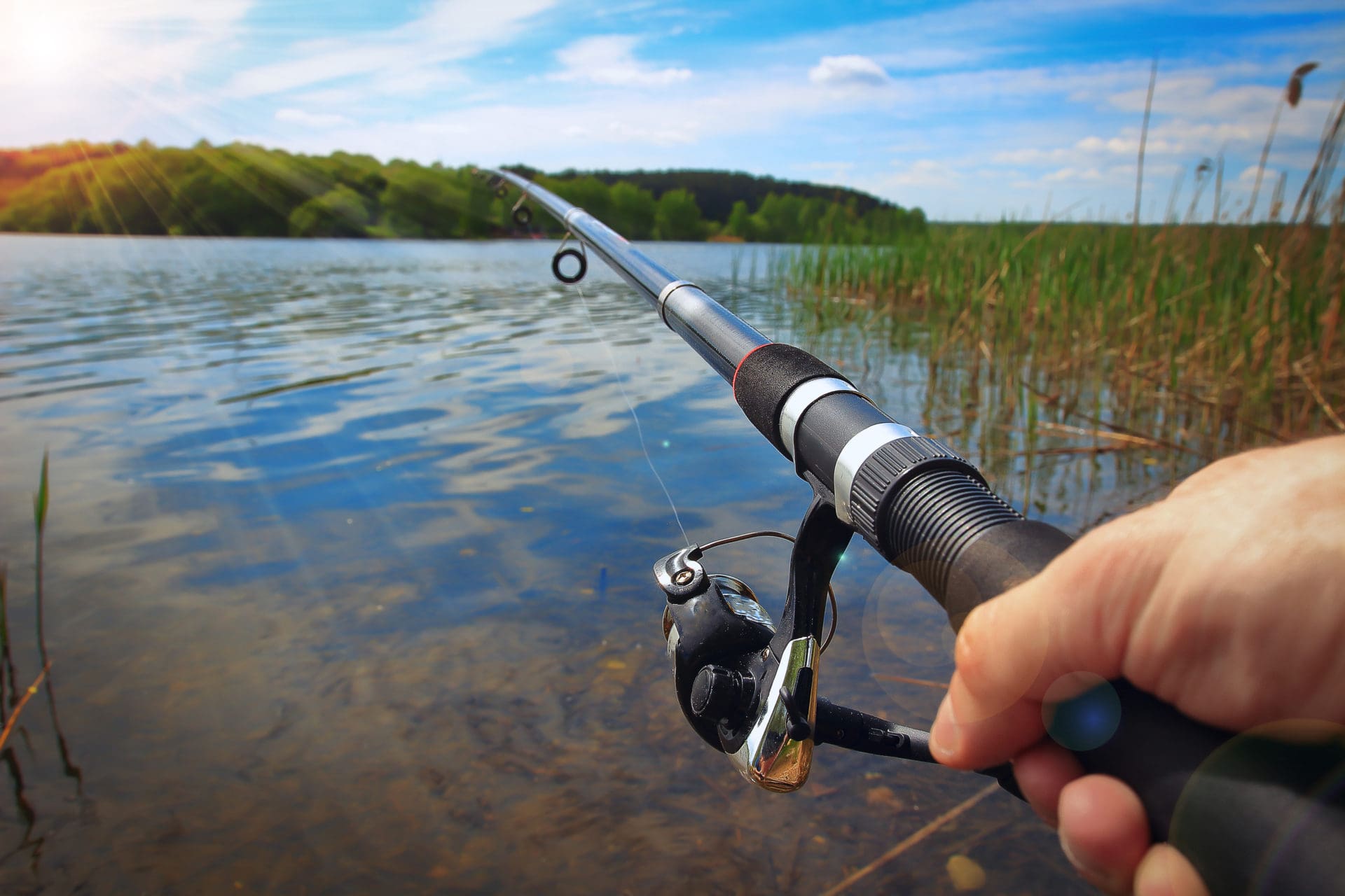 Cartilha de pesca: saiba como ser um pescador que respeita o meio ambiente