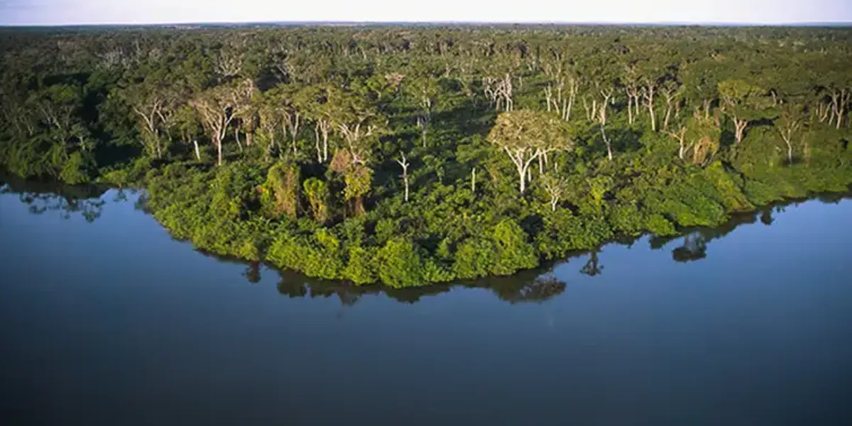 Goiás conquista 3º lugar no ranking de sustentabilidade ambiental