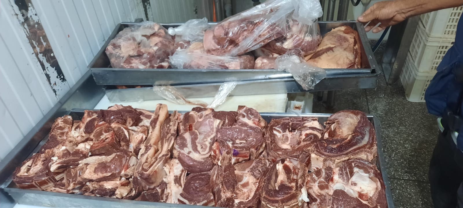 Procon apreende quase 100 Kg de carne imprópria para consumo