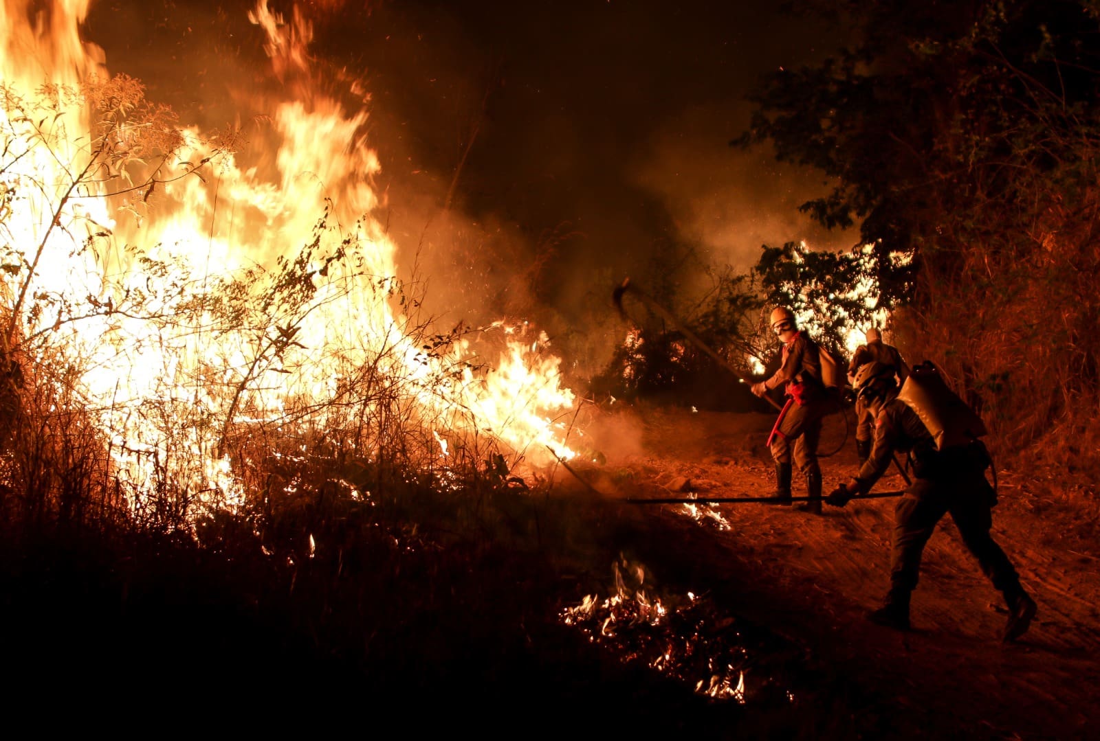 Contra incêndios, Bombeiros reforçam efetivo e convocam especialistas em desastres