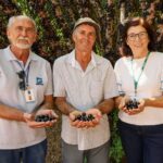 Com apoio da Emater, produtor melhora produção de jabuticaba