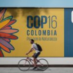 Meio Ambiente terá painel na COP-16, na Colômbia