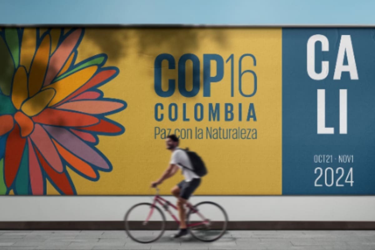 Meio Ambiente terá painel na COP-16, na Colômbia