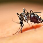 Saúde realiza oficinas de enfrentamento à dengue