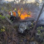 Operação Cerrado Vivo encerra atividades na Chapada dos Veadeiros