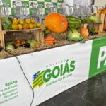 Programa de Aquisição de Alimentos seleciona 944 agricultores familiares