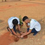 Semad e Seduc plantam árvores no Bairro da Vitória, em Goiânia