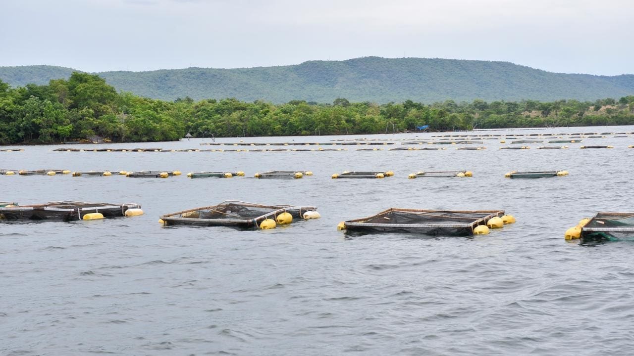 Emater promove Congresso de Aquicultura de Pesca, em Inaciolândia