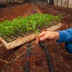 Agrodefesa alerta para prazo de cadastramento anual