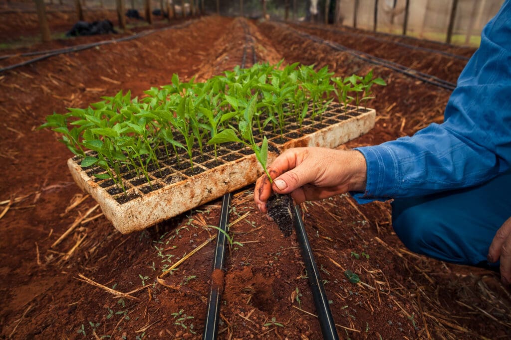 Agrodefesa alerta para prazo de cadastramento anual