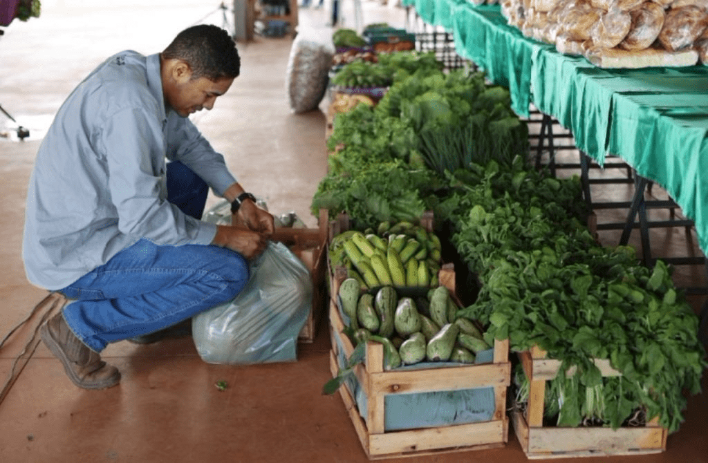 PAA Goiás investe R$ 26 milhões na agricultura familiar