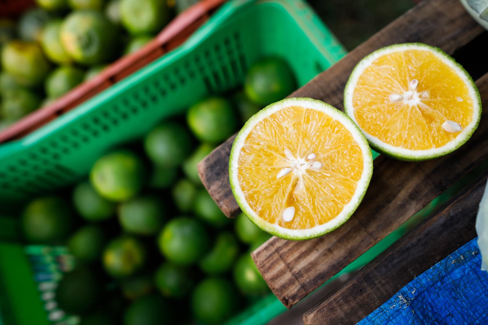 Laranja, batata e pescado têm pauta fiscal atualizada