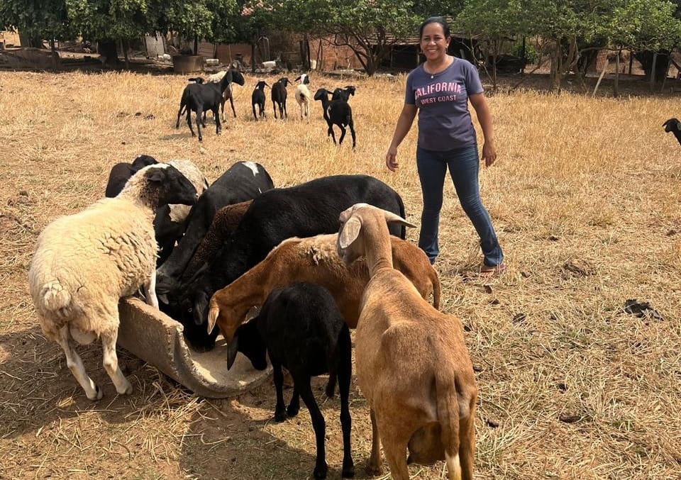 Fomento Rural de Goiás destina recursos a agricultores familiares