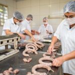 Prorrogadas inscrições para projeto de Promoção da Melhoria da Qualidade das Agroindústrias