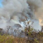 Semad lança relatório sobre incêndios florestais em Goiás