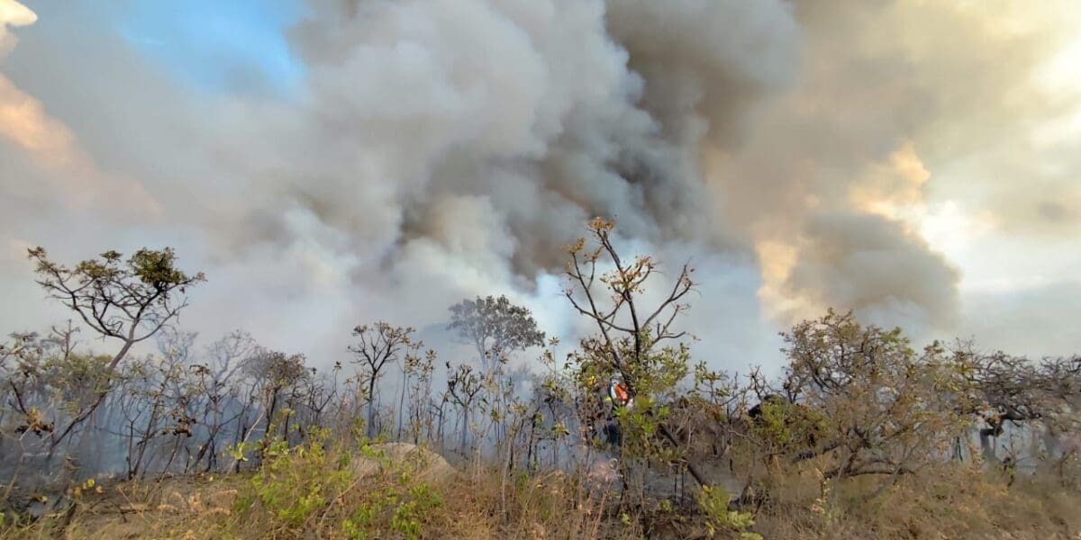 Semad lança relatório sobre incêndios florestais em Goiás