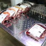 Hemocentro envia 600 bolsas de sangue ao RS e pede novas doações