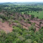 Semad flagra desmatamento ilegal de 7,5 hectares em Sanclerlândia