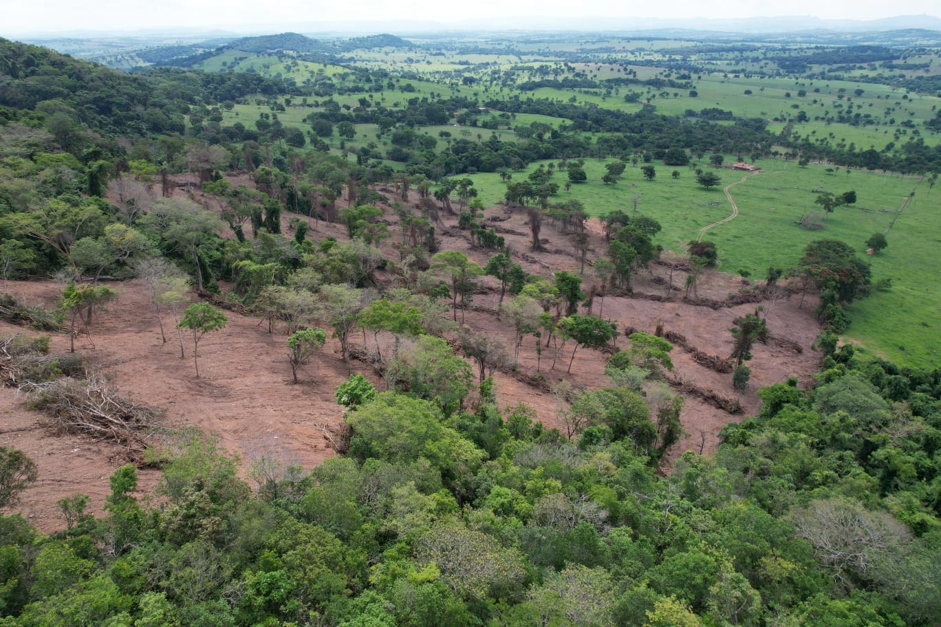 Semad flagra desmatamento ilegal de 7,5 hectares em Sanclerlândia