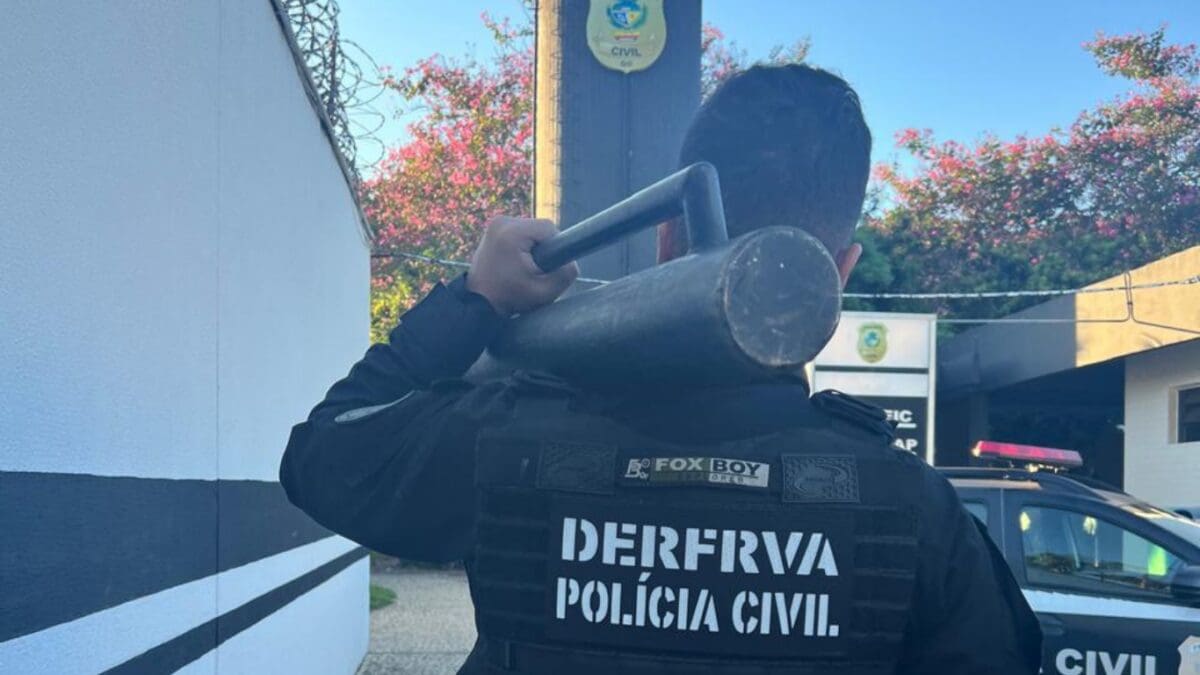 PC desmantela grupo criminoso especializado no comércio de veículos e peças roubadas