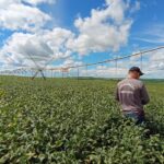 Agrodefesa vai orientar sanidade vegetal na Expedição Safra Goiás