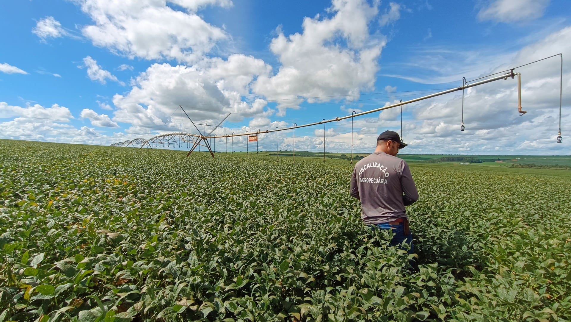 Agrodefesa vai orientar sanidade vegetal na Expedição Safra Goiás