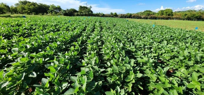 Goiás investe R$ 3,6 milhões em inovações sustentáveis para a agricultura