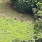 Bombeiros resgatam idoso desaparecido em Buriti Alegre