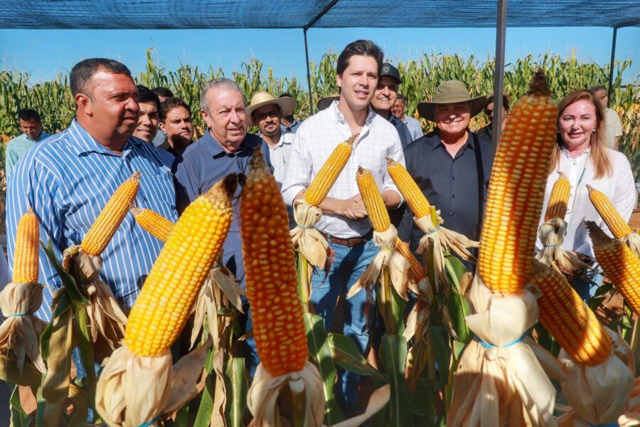 Daniel Vilela projeta Vale do Araguaia como importante fronteira agrícola em Goiás