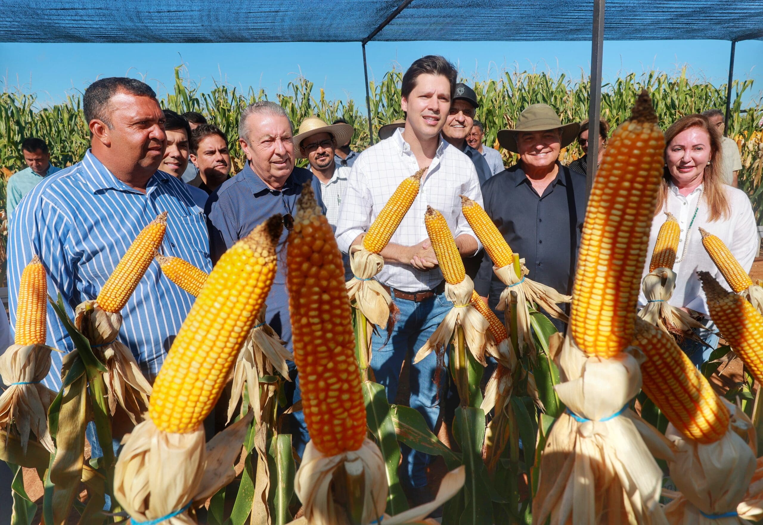 Daniel Vilela projeta Vale do Araguaia como importante fronteira agrícola em Goiás