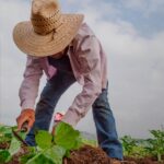 Emater Goiás realiza Semana do CAF Quilombola, em Cavalcante