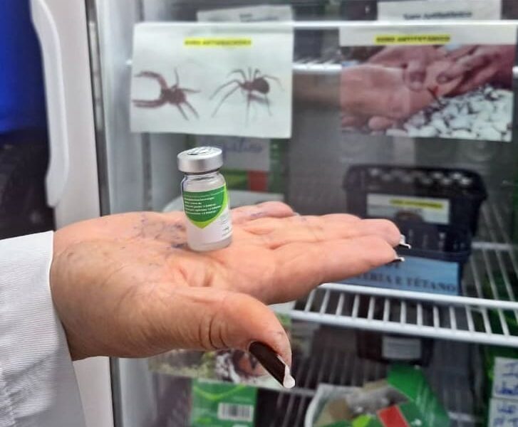 HDT orienta população sobre como agir em acidentes com aranhas