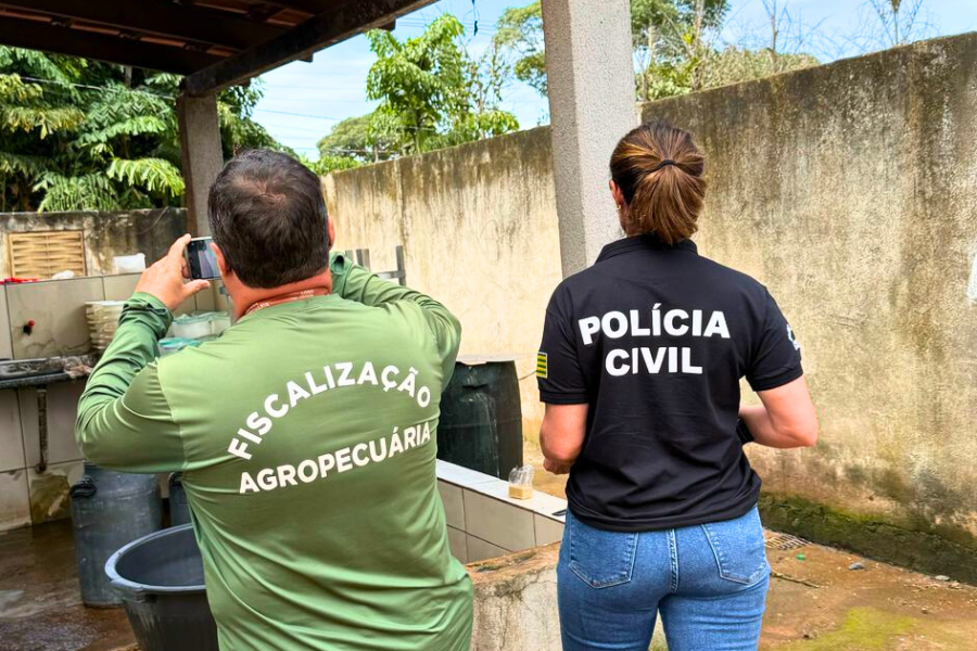 Polícia apreende 100 quilos de queijo em laticínio clandestino