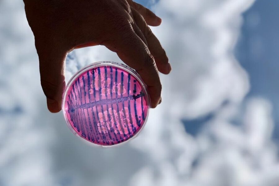 Programa Estadual de Bioinsumos será atualizado