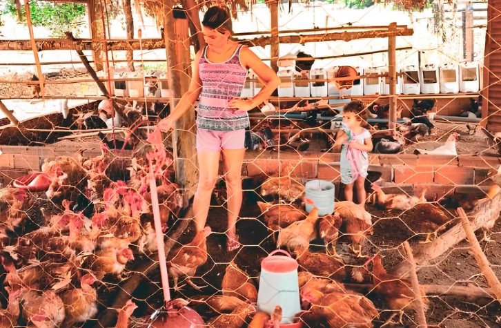 Crédito Social amplia negócios rurais em Campestre