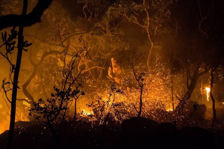 Governo investe R$ 1 milhão na prevenção de incêndios no Cerrado