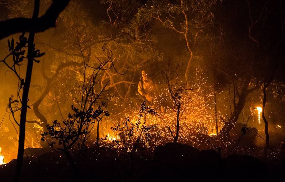 Governo investe R$ 1 milhão na prevenção de incêndios no Cerrado