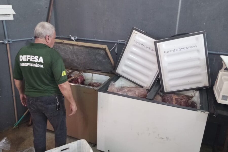 Fábrica clandestina em Anápolis mantinha carne de cavalo