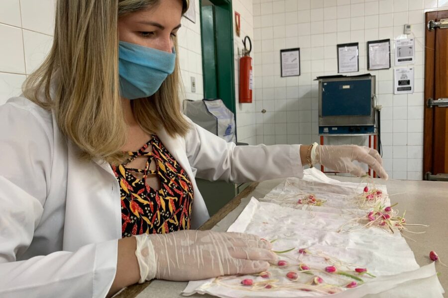 Laboratório da Agrodefesa alcança nota máxima em teste nacional