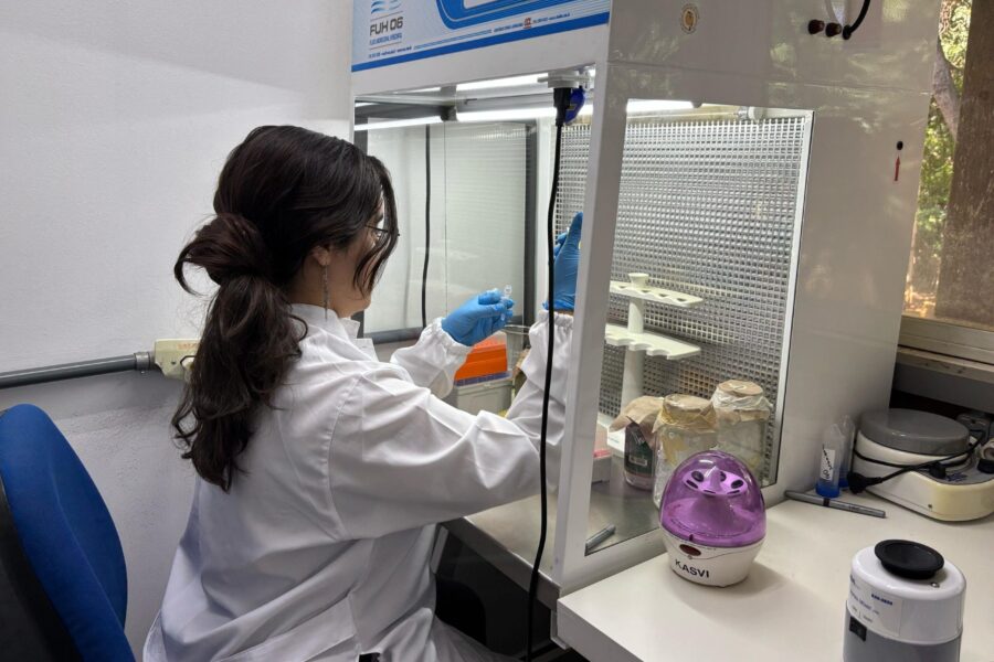 Fapeg investe R$ 7 milhões em apoio a 213 projetos de pesquisas científicas