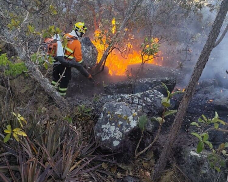 Goiás realiza Conferência Estadual do Meio Ambiente