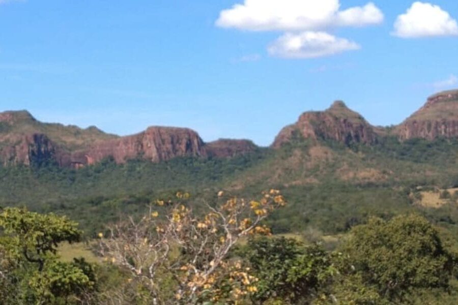 Caiado é eleito representante do bioma Cerrado no consórcio Brasil Verde