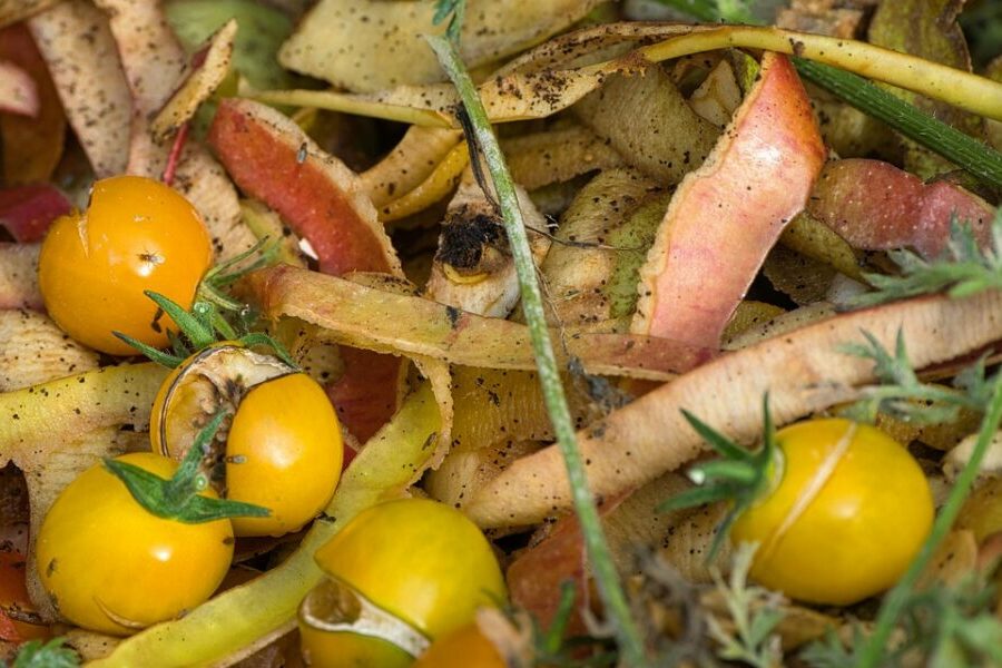 Meio Ambiente lança Guia de Compostagem